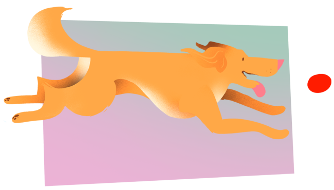 Character Design. Stylized illustration. Cute character. Illustration Portugal. Illustração porto, portugal. Animation. Motion Design. Mascotes. Design de mascote. Dog illustration. Pet illustration. Custom illustration. Playful pet. Doggy. Ilustração de animais. Ilustração de cães. Ilustração de um cão.