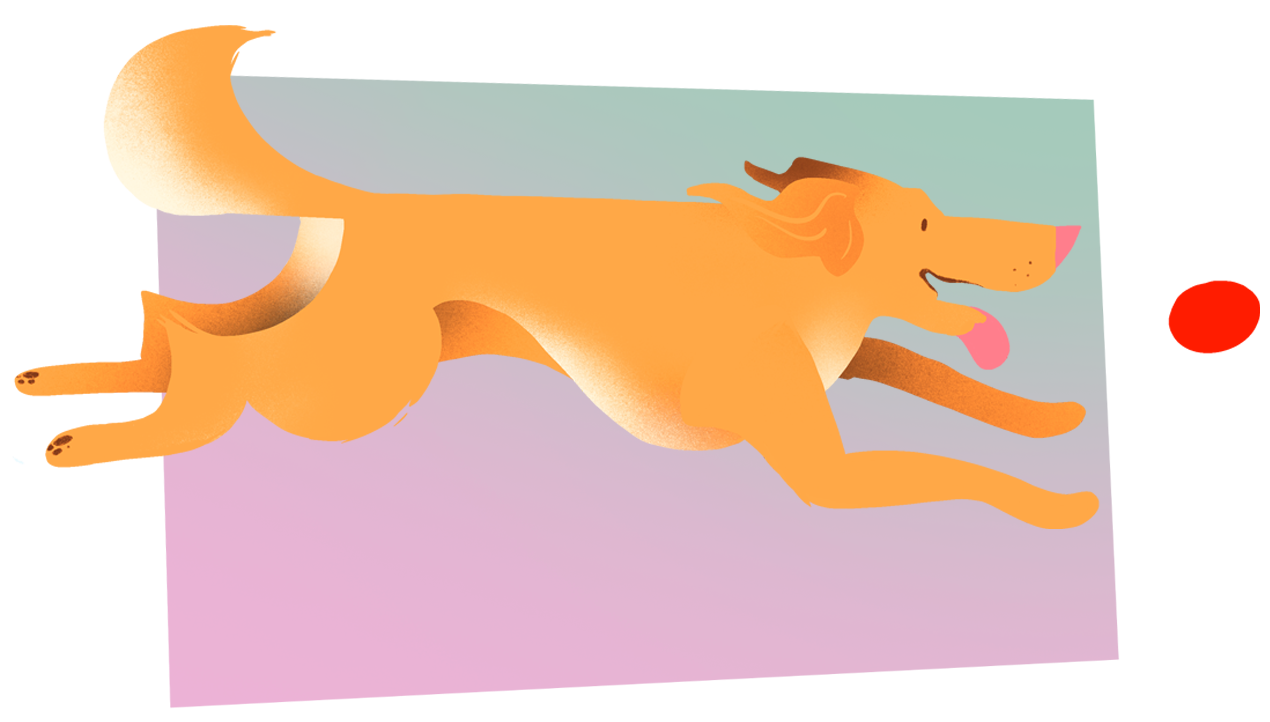 Character Design. Stylized illustration. Cute character. Illustration Portugal. Illustração porto, portugal. Animation. Motion Design. Mascotes. Design de mascote. Dog illustration. Pet illustration. Custom illustration. Playful pet. Doggy. Ilustração de animais. Ilustração de cães. Ilustração de um cão.