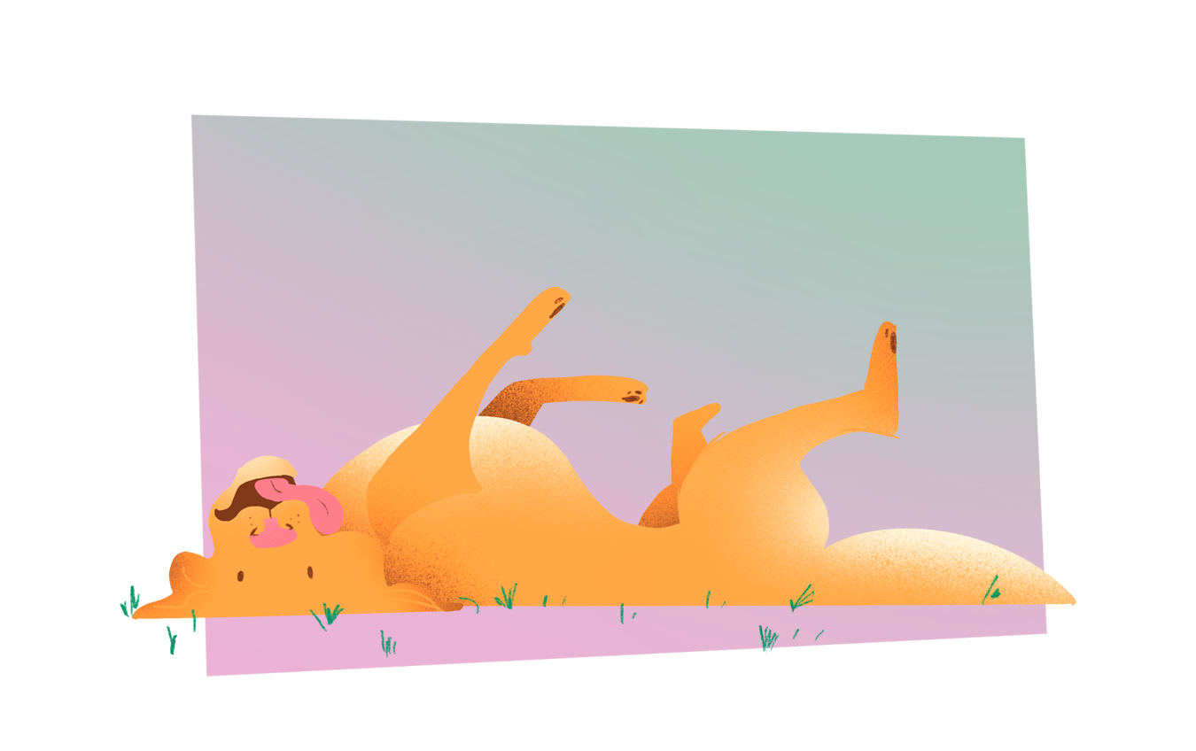 Character Design. Stylized illustration. Cute character. Illustration Portugal. Illustração porto, portugal. Animation. Motion Design. Mascotes. Design de mascote. Dog illustration. Pet illustration. Custom illustration. Playful pet. Doggy. Ilustração de animais. Ilustração de cães. Ilustração de um cão.