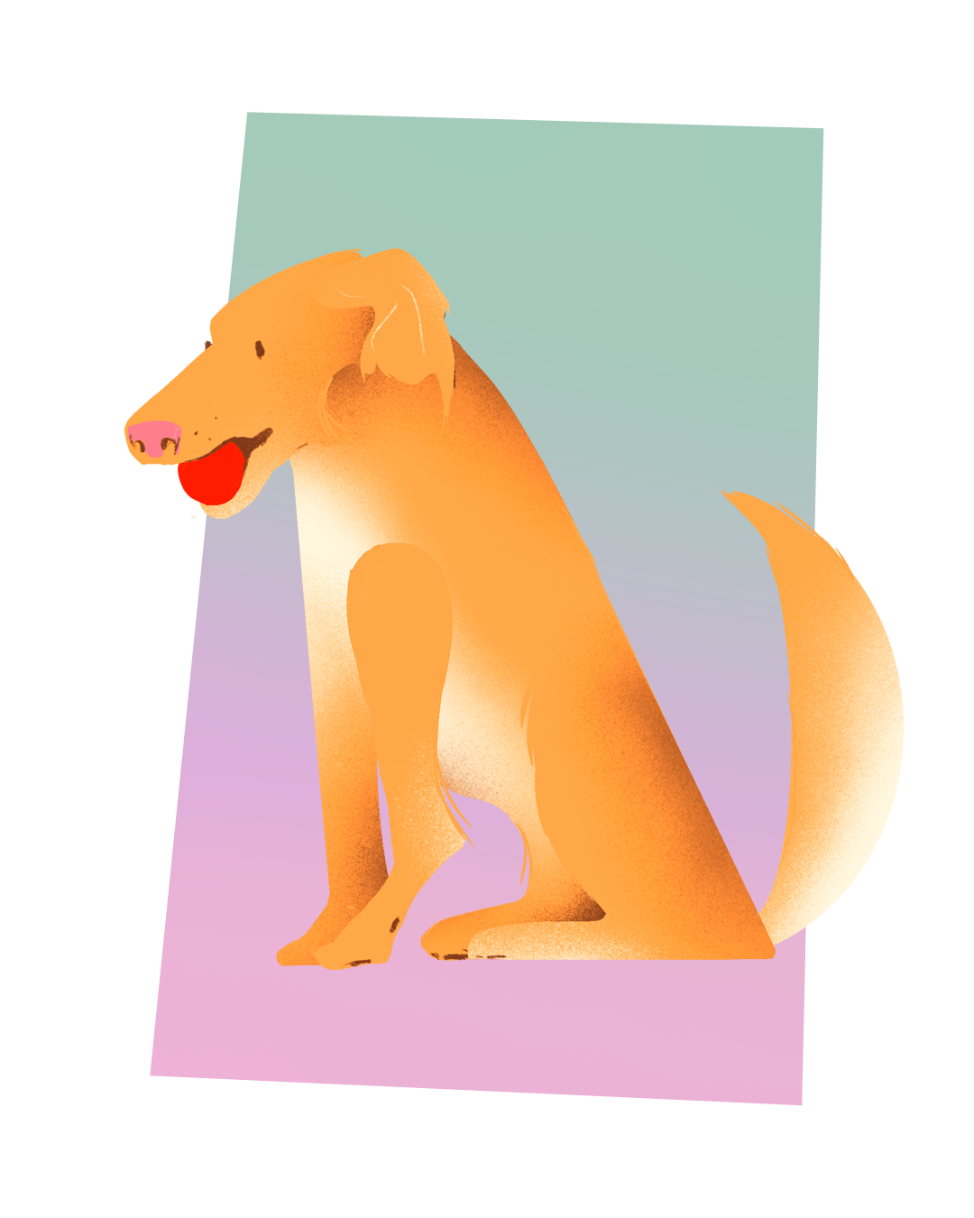 Character Design. Stylized illustration. Cute character. Illustration Portugal. Illustração porto, portugal. Animation. Motion Design. Mascotes. Design de mascote. Dog illustration. Pet illustration. Custom illustration. Playful pet. Doggy. Ilustração de animais. Ilustração de cães. Ilustração de um cão.