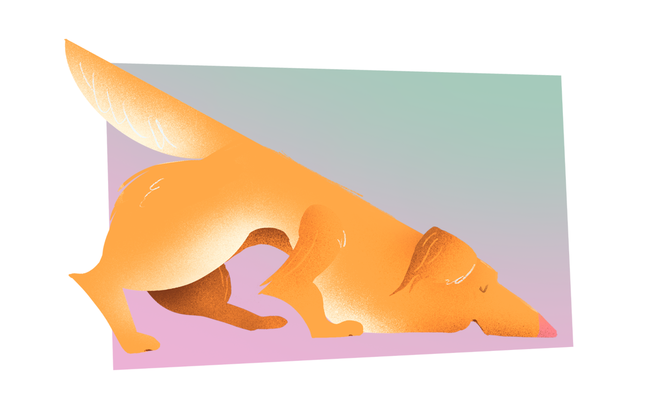 Character Design. Stylized illustration. Cute character. Illustration Portugal. Illustração porto, portugal. Animation. Motion Design. Mascotes. Design de mascote. Dog illustration. Pet illustration. Custom illustration. Playful pet. Doggy. Ilustração de animais. Ilustração de cães. Ilustração de um cão.