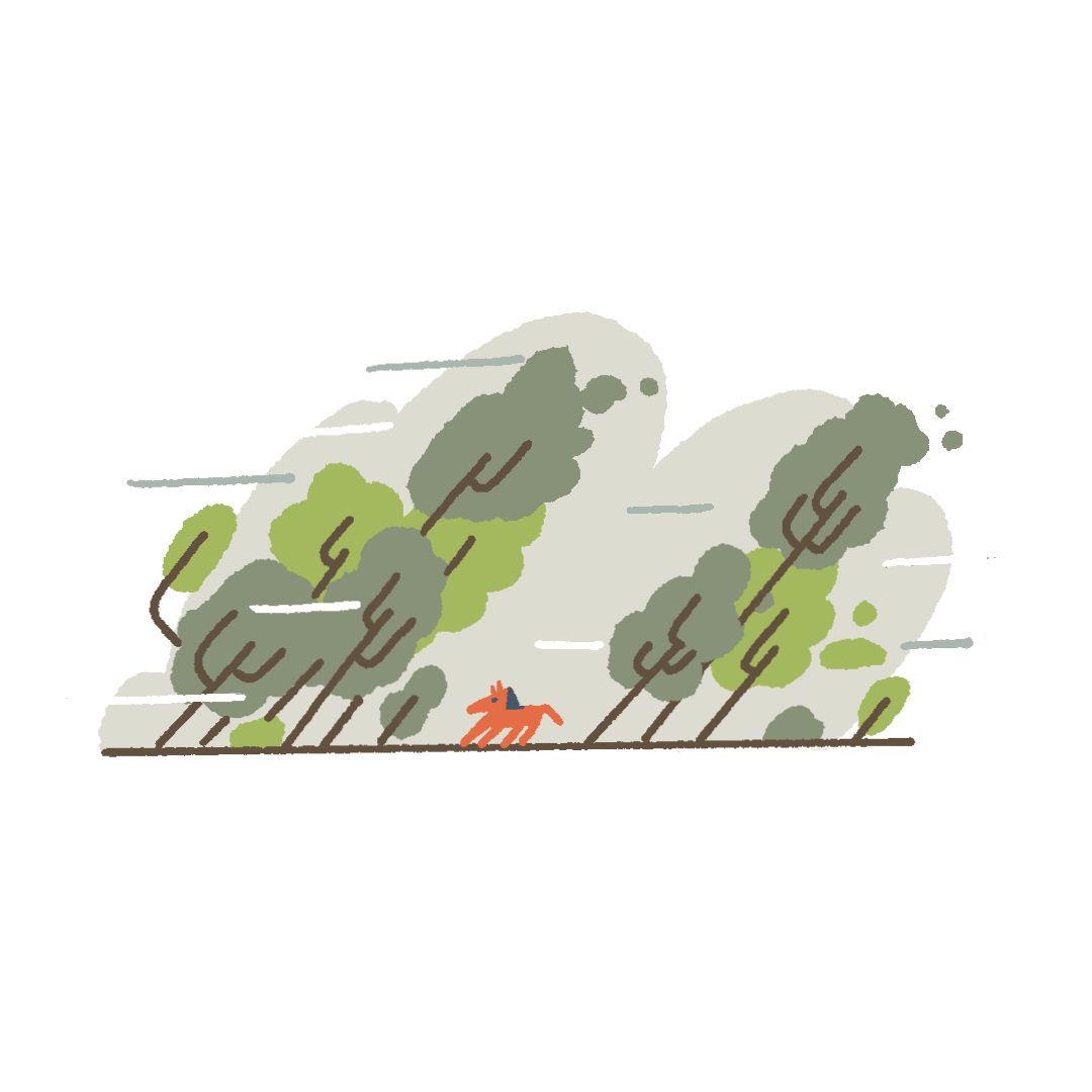 Illustration about the consequences of global warming in storms that are getting more and more destructive. This drawing is featuring a forest and a horse, inspired by some of the actual damages of the storm in the Center of Portugal.