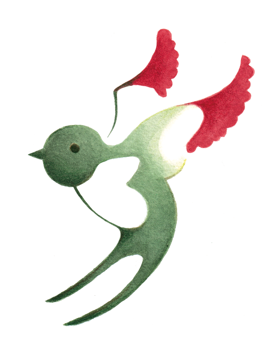 Freedom Swallow